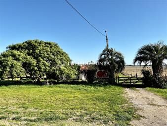https://www.gallito.com.uy/chacra-de-7-has-en-ruta-104-manantiales-inmuebles-23636536