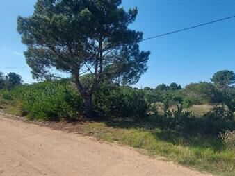 https://web5.gallito.com.uy/terreno-limpio-y-con-calle-en-venta-en-punta-rubia-inmuebles-27576452