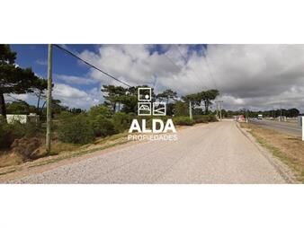 https://www.gallito.com.uy/terreno-en-portezuelo-ref-te201733-inmuebles-20297583