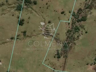 https://www.gallito.com.uy/campo-cerca-ruta-39-inmuebles-26266261