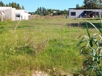 https://web5.gallito.com.uy/venta-de-gran-terreno-en-25-de-mayo-inmuebles-27581539