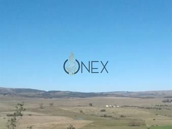 https://web5.gallito.com.uy/venta-de-campo-80h-sobre-las-sierras-de-villa-inmuebles-27581987
