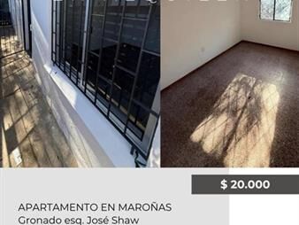 https://web5.gallito.com.uy/se-alquila-apartamento-de-2-dormitorios-en-inmuebles-27410855