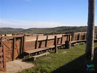 https://www.gallito.com.uy/1600-has-campo-ganadero-criador-a-buen-precio-inmuebles-22538436