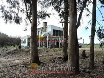 https://www.gallito.com.uy/chacra-en-venta-3-has-con-casa-en-el-colorado-inmuebles-22126646