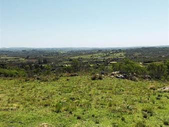 https://web5.gallito.com.uy/chacra-en-venta-en-san-carlos-6-has-con-mejoras-inmuebles-26416320