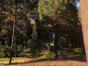 https://www.gallito.com.uy/terreno-en-punta-ballena-club-del-lago-inmuebles-27596548