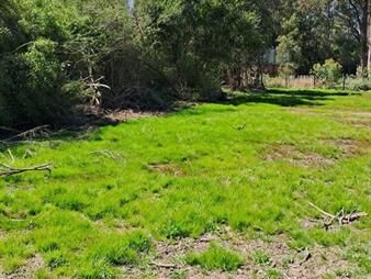 https://web5.gallito.com.uy/venta-terreno-en-sauce-de-portezuelo-maldonado-inmuebles-27599616
