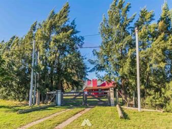 https://web5.gallito.com.uy/venta-chacra-3-dormitorios-cabaña-piscina-melilla-inmuebles-27374037