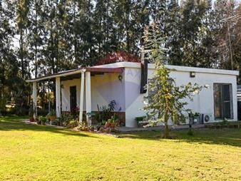 https://www.gallito.com.uy/venta-2-casas-en-amplio-terreno-progreso-suburbano-inmuebles-27602794
