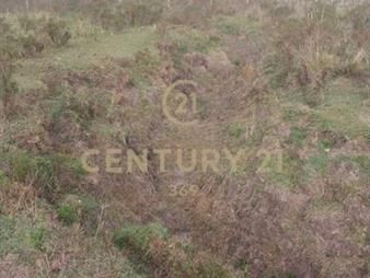https://www.gallito.com.uy/campo-con-23-hectareas-en-ruta-12-kilometro-94-acepta-ba-inmuebles-26386215