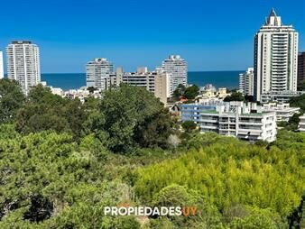 https://web5.gallito.com.uy/un-nuevo-concepto-de-edificio-view-ii-a-pasos-inmuebles-26870388