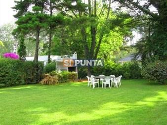https://web5.gallito.com.uy/casa-en-alquiler-inmuebles-27607754