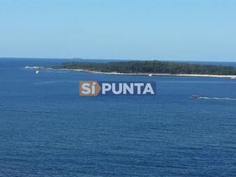 https://web5.gallito.com.uy/apartamento-frente-al-mar-en-playa-mansa-inmuebles-27607800