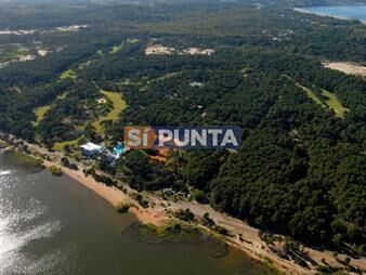 https://www.gallito.com.uy/terreno-en-club-del-lago-punta-ballena-inmuebles-27607955