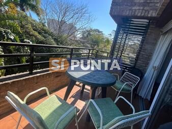 https://web5.gallito.com.uy/venta-y-alquiler-invernal-zona-mansa-2-inmuebles-27608016