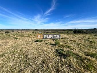 https://web5.gallito.com.uy/chacras-de-5-hectareas-con-vista-a-ambas-sierras-inmuebles-27608024
