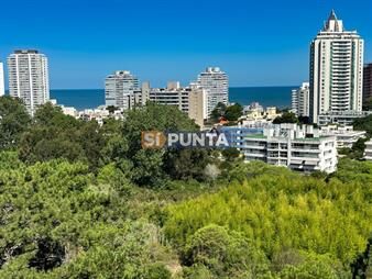 https://web5.gallito.com.uy/un-nuevo-concepto-de-edificio-view-ii-a-pasos-inmuebles-27608044