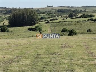 https://www.gallito.com.uy/hermosa-chacra-a-15-kilometros-del-mar-pan-de-inmuebles-27608048