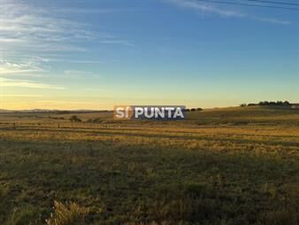https://www.gallito.com.uy/chacra-en-venta-de-6-hectareas-en-mantantiales-inmuebles-27608083