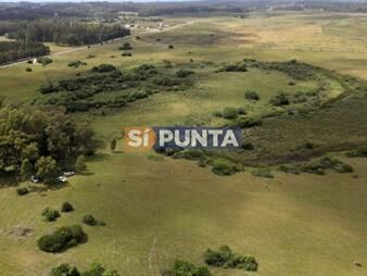 https://web5.gallito.com.uy/terreno-en-la-barra-inmuebles-27608085
