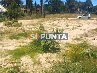 https://web5.gallito.com.uy/terreno-en-venta-en-balneario-buenos-aires-punta-inmuebles-27608183