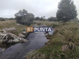 https://web5.gallito.com.uy/campo-en-venta-maldonado-en-la-zona-del-cerro-inmuebles-27608185