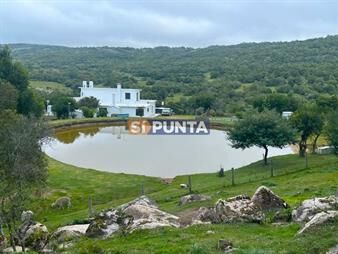 https://web5.gallito.com.uy/campo-en-venta-a-los-pies-del-cerro-catedral-inmuebles-27608214