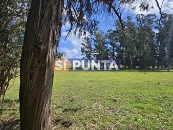 https://web5.gallito.com.uy/venta-de-chacra-de-9-hs-en-jose-ignacio-punta-inmuebles-27608224