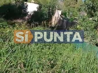 https://web5.gallito.com.uy/terreno-300m2-inmuebles-27608389