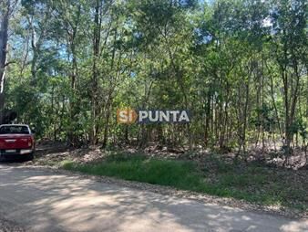 https://web5.gallito.com.uy/venta-terreno-sauce-de-portezuelo-inmuebles-27608421