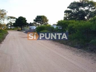 https://web5.gallito.com.uy/terreno-de-1000mts-en-zona-de-laguna-del-sauce-inmuebles-27608451
