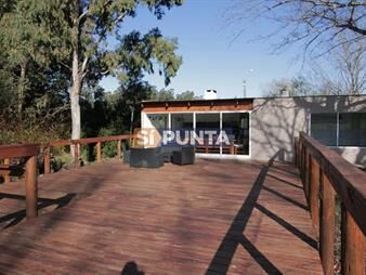 https://web5.gallito.com.uy/venta-de-lote-en-punta-ballena-verde-mora-punta-inmuebles-27608515