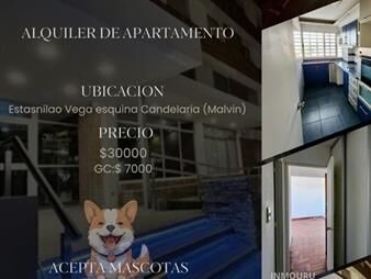 https://web5.gallito.com.uy/alquiler-de-apartamento-de-2-dormitorios-en-inmuebles-27607698
