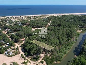 https://web5.gallito.com.uy/terreno-en-chihuahua-punta-ballena-ref-inmuebles-24779149