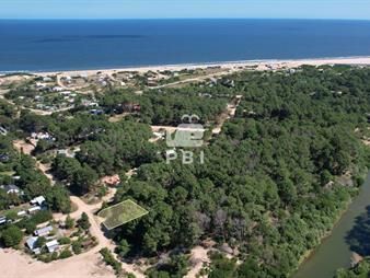 https://web5.gallito.com.uy/terreno-en-chihuahua-punta-ballena-ref-inmuebles-24779097
