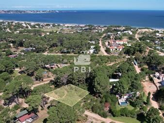 https://web5.gallito.com.uy/terreno-en-venta-chihuahua-ref-pbi1020-inmuebles-23344217