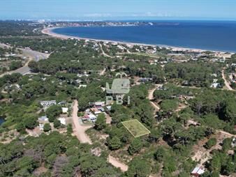 https://web5.gallito.com.uy/terreno-en-venta-chihuahua-ref-pbi996-inmuebles-24646053