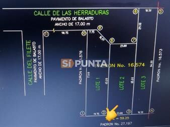 https://www.gallito.com.uy/terreno-1300-mts-2-a-la-venta-en-punta-del-este-inmuebles-27608791
