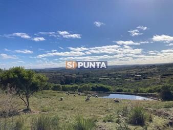 https://web5.gallito.com.uy/vendo-hermosa-chacra-en-las-cañas-inmuebles-27608801