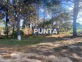https://www.gallito.com.uy/lote-en-barrio-privado-laguna-escondida-jose-inmuebles-27609143