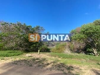 https://web5.gallito.com.uy/lote-en-barrio-privado-laguna-escondida-jose-inmuebles-27609148