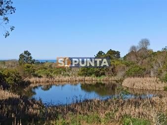 https://www.gallito.com.uy/venta-hermosa-chacra-con-tajamar-y-vista-al-mar-inmuebles-27609162