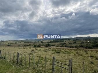 https://www.gallito.com.uy/campo-en-venta-garzon-inmuebles-27609189
