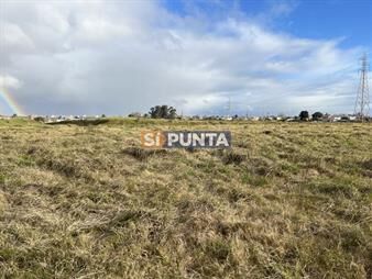 https://web5.gallito.com.uy/venta-de-terreno-en-fraccionamiento-colinas-de-inmuebles-27609205