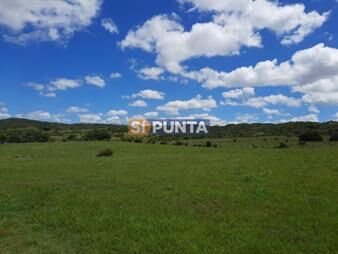 https://www.gallito.com.uy/linda-chacra-de-5-has-en-las-cañas-inmuebles-27609391