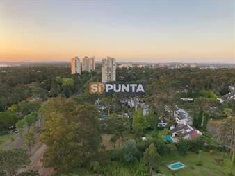 https://web5.gallito.com.uy/vende-apartamento-de-2-dormitorios-en-punta-del-inmuebles-27609463