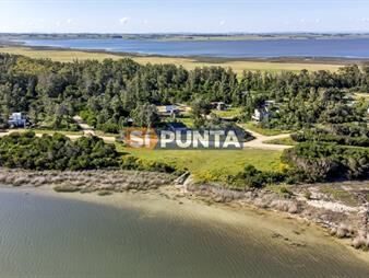https://www.gallito.com.uy/lote-en-venta-santa-monica-jose-ignacio-de-inmuebles-27609645