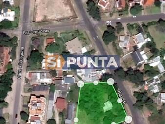 https://web5.gallito.com.uy/gran-terreno-en-pinares-a-solo-metros-de-av-la-inmuebles-27609668