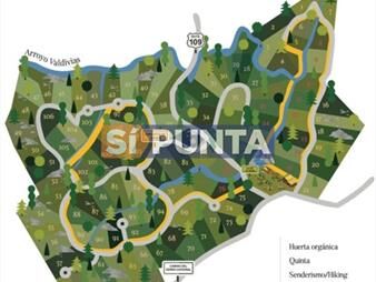 https://www.gallito.com.uy/fraccionamiento-zona-ruta-109-arroyo-valdivias-inmuebles-27609700